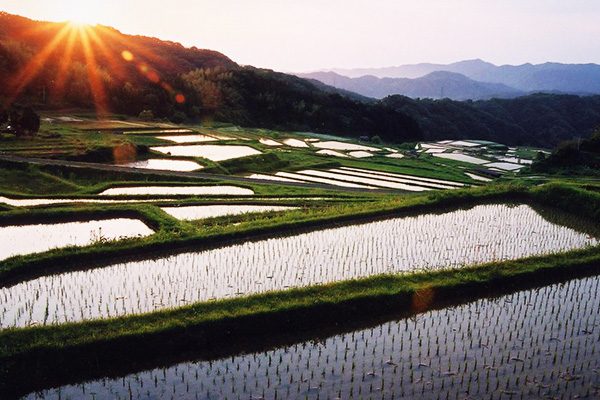 島根