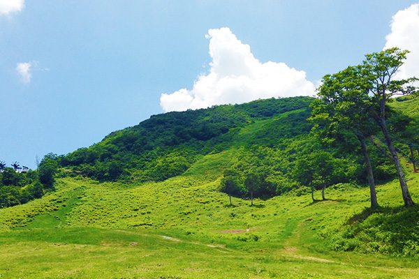 新潟