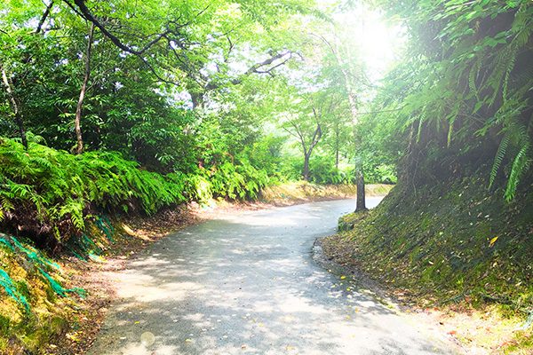 福井