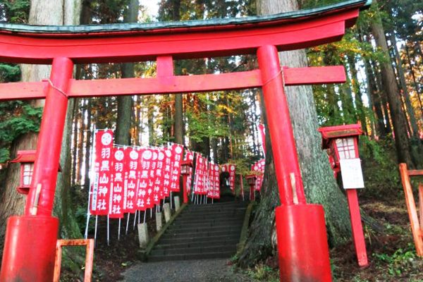 きつい坂練習に 羽黒山神社参道コース 宇都宮市 栃木 関東地方 走ろうにっぽんプロジェクト