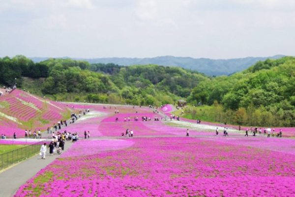 栃木