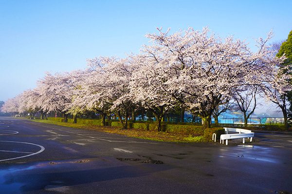 栃木