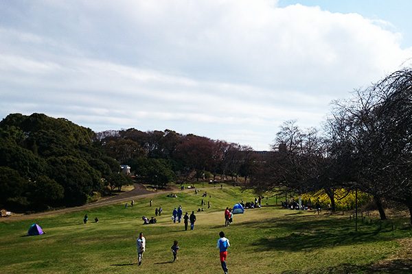 神奈川