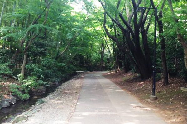 神奈川