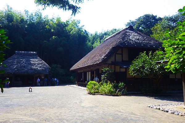神奈川
