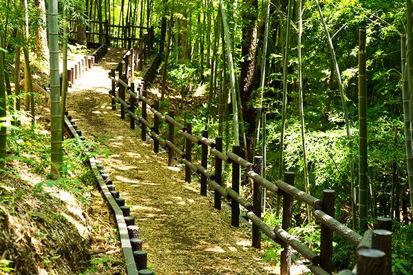 神奈川