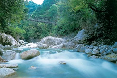 愛媛