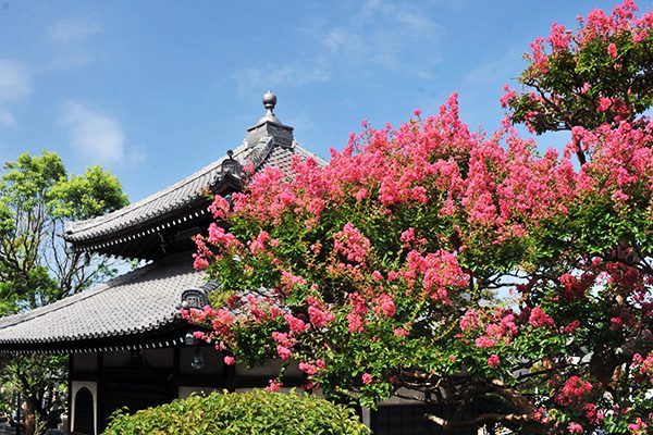 神奈川