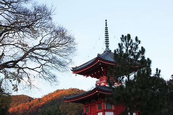 京都