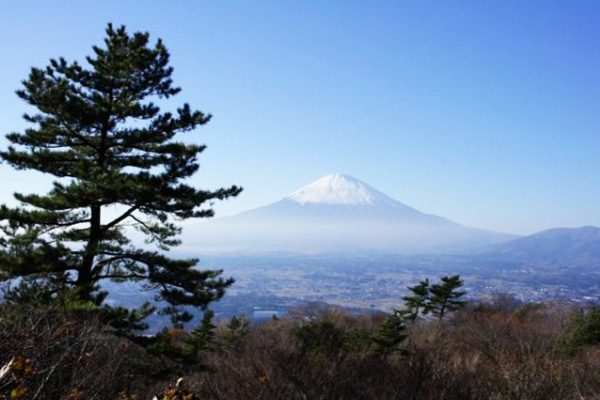 神奈川