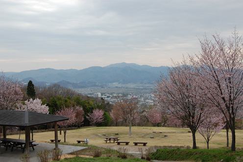 山形