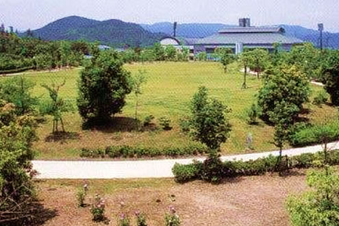 広島