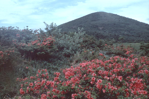 広島