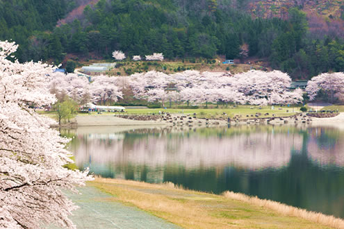 広島