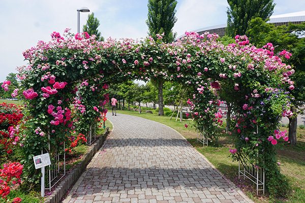 日本最大のサッカー場 埼玉スタジアム公園コース さいたま市 埼玉 関東地方 走ろうにっぽんプロジェクト