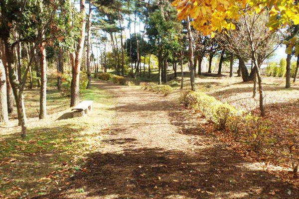 御勅使南 みだいみなみ 公園クロカンコース 南アルプス市 山梨 中部地方 走ろうにっぽんプロジェクト