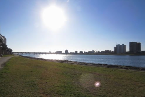 宮崎