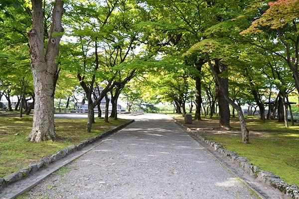 岩手