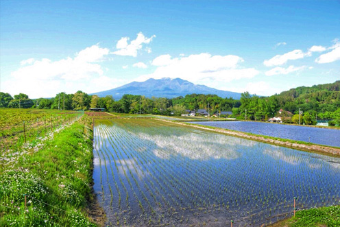山梨