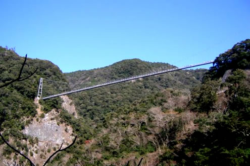 宮崎
