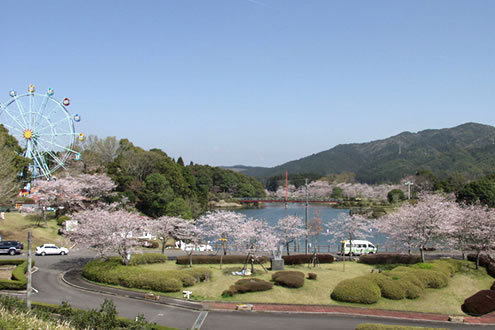 宮崎