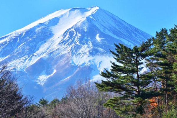 山梨