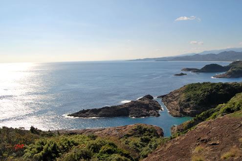 宮崎