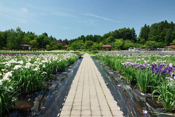 秋田