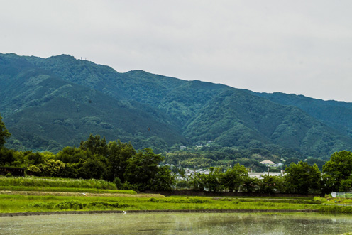 奈良