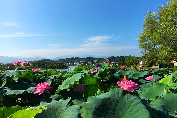 和歌山