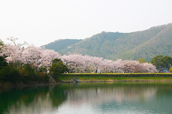 和歌山