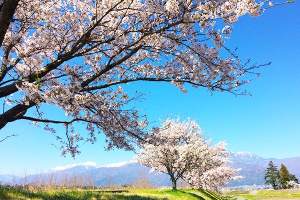 長野
