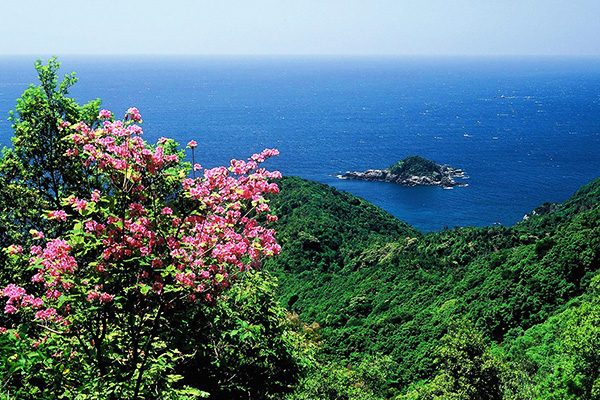 和歌山