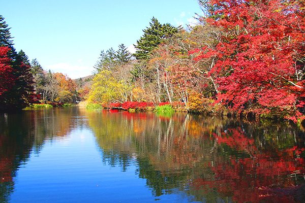 長野