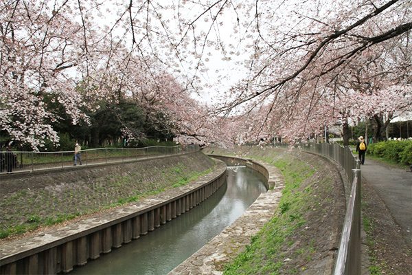 東京