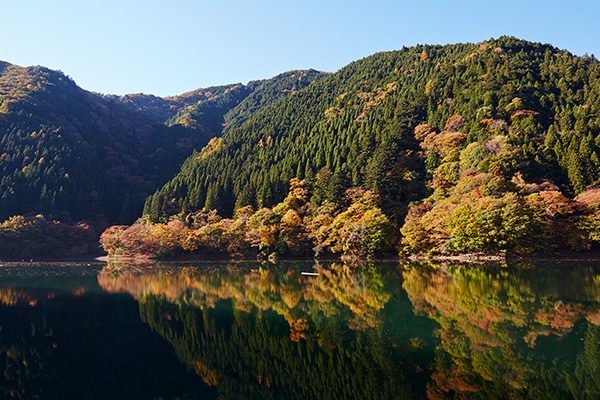 東京