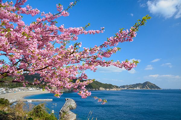 大分