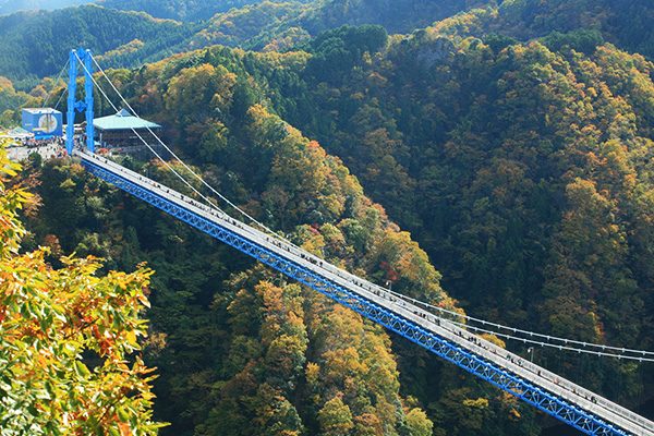 本州一の歩行用橋 竜神大吊橋を渡ろうコース 常陸太田市 茨城 関東地方 走ろうにっぽんプロジェクト