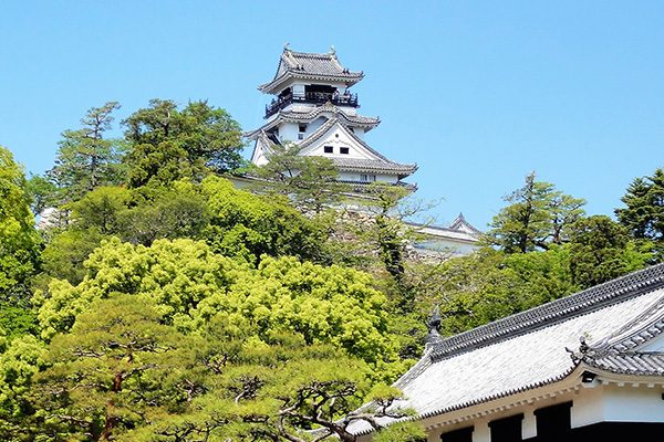 高知