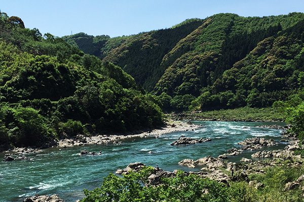 高知