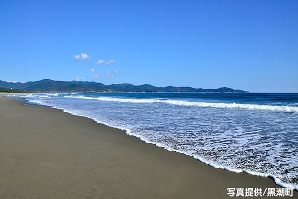 高知