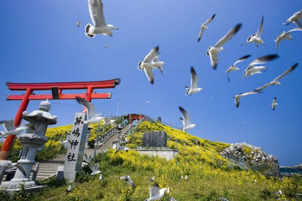 青森