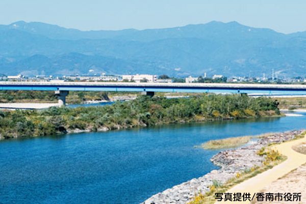 高知