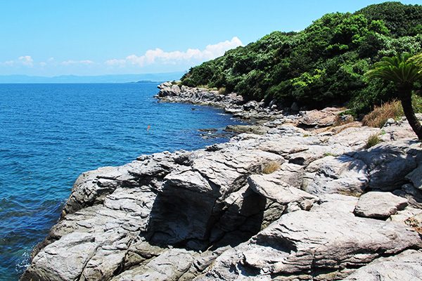 海沿いの道 堂崎の桜並木をめぐるコース 長与町 長崎 九州地方 走ろうにっぽんプロジェクト