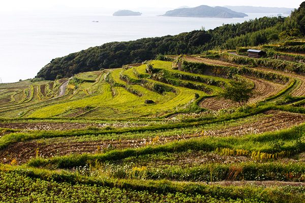長崎